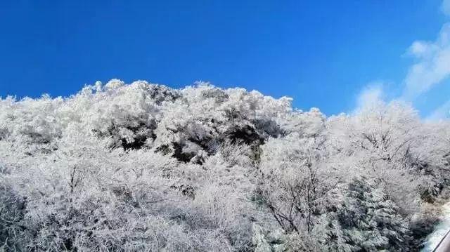 私人度假胜地