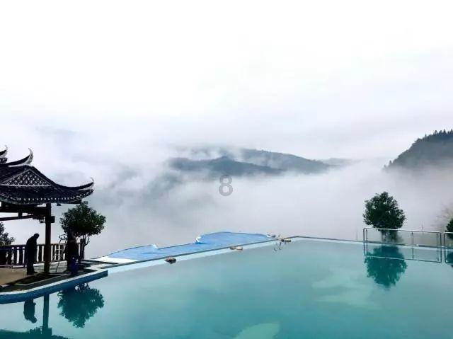 仓鼠学拼音